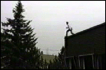 Guy jumps off a roof and into a tree