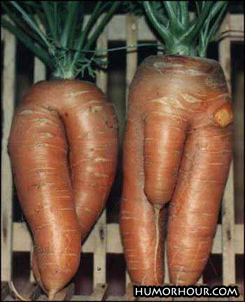 Nice looking carrots