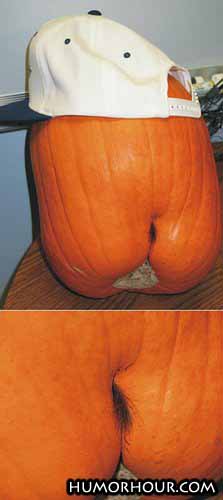 Montana Pumpkin