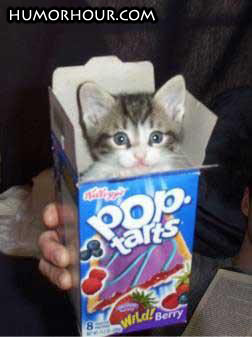 Something in My Pop Tarts!