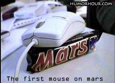 The first mouse on mars