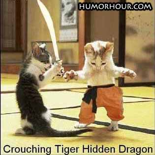 Crouching tiger hidden dragon