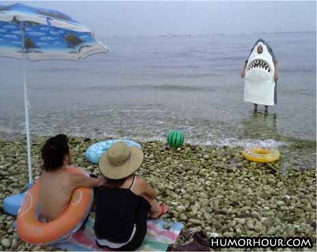 Jaws on the beach