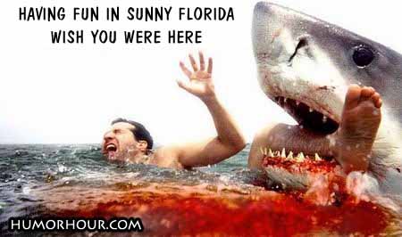 Having fun in sunny Florida