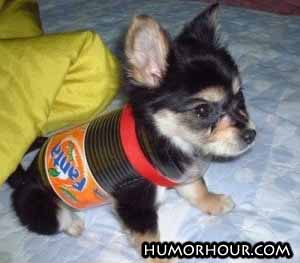 Fanta Dog