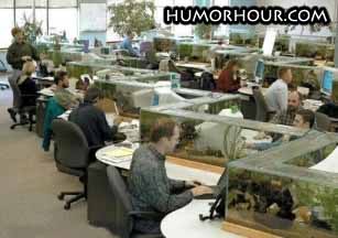 Aquarium office