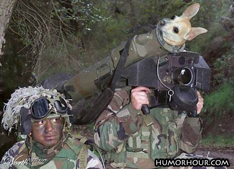 Top secret weapon of the US military